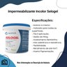 Impermeabilizante Resina Protetora Incolor Laje Telhado Piso Cimento Concreto Parede Selogel - 2