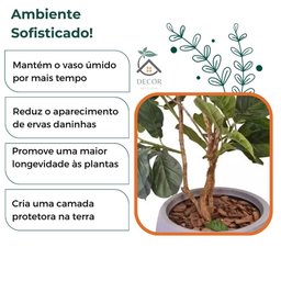 Casca de Pinus Polida P/ Vasos/ Flores/ Decoração de Jardim - 6