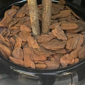 Casca de Pinus Polida P/ Vasos/ Flores/ Decoração de Jardim