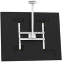 Ver imagem 2 de Suporte Teto Tv 10"-65" Vesa 600x400 Giro 360° Novo - Branco
