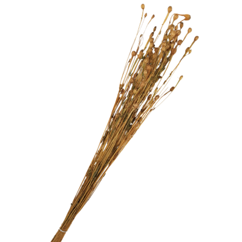 Buquê Flores Campo Desidratadas