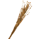 Ver imagem 1 de Buquê Flores Campo Desidratadas