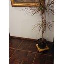 Ver imagem 6 de Suporte Base para Vaso e Botijão Gás 30x30cm com Rodinhas