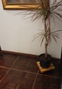 Ver imagem 6 de Suporte Base para Vaso e Botijão Gás 30x30cm com Rodinhas
