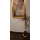 Ver imagem 3 de Suporte Base para Vaso e Botijão Gás 30x30cm com Rodinhas