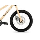 Ver imagem 4 de Bicicleta Airon, Aro 16, Aros Aero Parede Dupla, Tamanho do Quadro 14, 36 Raias, 7 Velocidades, Frei