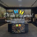 Ver imagem 7 de Quadro Jardim Das Flores sob Proteção Das Àrvores Iluminadas