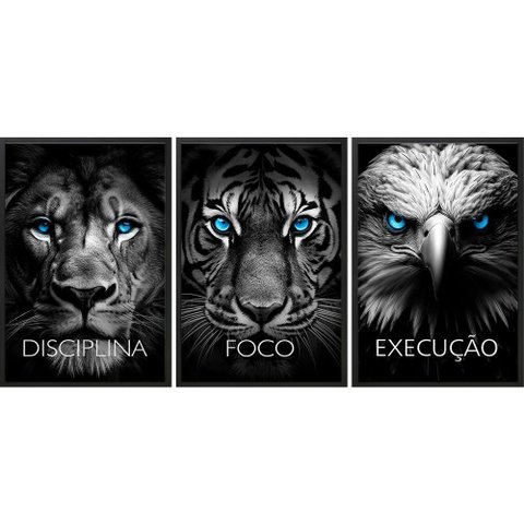 Kit 3 Quadros Animais Disciplina Foco Execução 45x34cm:moldura Preta