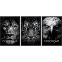 Ver imagem 1 de Kit 3 Quadros Animais Disciplina Foco Execução 45x34cm:moldura Preta