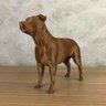 Pitbull Geométrico Decorativo Vegras Marrom - 9
