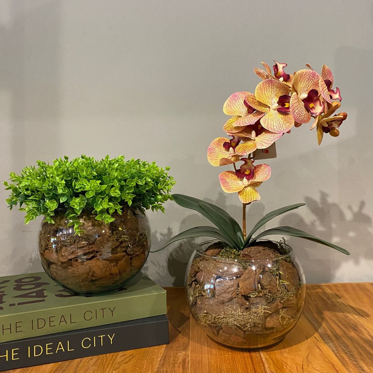 Kit 2 Arranjos Orquídea Tigre e Verdinho Vaso de Vidro