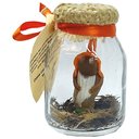 Ver imagem 1 de B17033 - BONECO GNOMOS COM CRISTAIS NO VIDRO - 7CM - CORALINA
