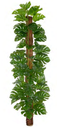 Ver imagem 1 de Planta Árvore Artificial Costela de Adão Real Toque X54 Verde 1,20m