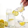 Espremedor Limão Manual Suco Limonada Frutas Sitricas Espremer Fatias - 3