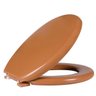 Assento Sanitário Oval Almofadado Tpk/as Caramelo 2 Astra - 1