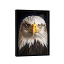 Ver imagem 3 de Quadro Águia de Cabeça Branca -- Br Artes
