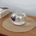 Ver imagem 2 de Aquário Pequeno Vidro Redondo de Peixe Para Decorar Mesa e Sala
