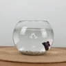 Aquário Pequeno Vidro Redondo de Peixe Para Decorar Mesa e Sala - 1