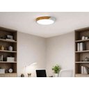 Ver imagem 2 de Plafon Led Ian Redondo 28cm 18w Bivolt Tcc Ajustável - Branco