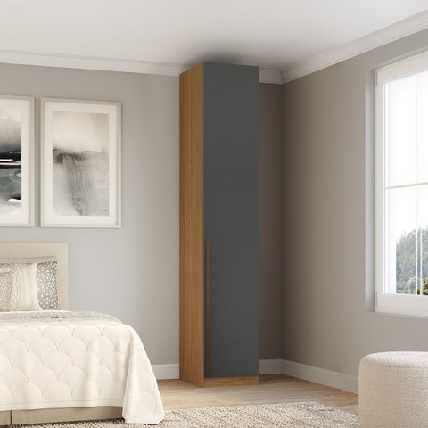 Guarda Roupa Modular 1 Porta com Prateleiras/cabideiros 45 Cm Altezza Clean Belmax:freijó/titânio