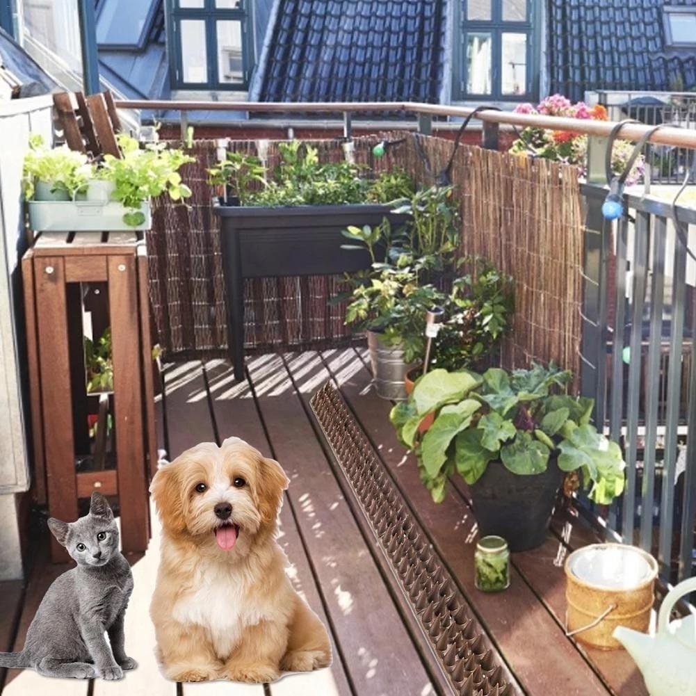 Espículas Anti Pombos Gatos Inibidor de Acesso Kit 20 Peças - 5