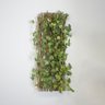 Treliça de Madeira com Folhagem para Muro Verde Permanente - 1