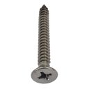 Ver imagem 4 de Parafuso Inox Auto Atarraxante Chata Phillips Stein 6,3x50 Caixa com 50 Peças
