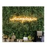 Jardim Vertical Avencas Preservadas (natural Gifts) - 1