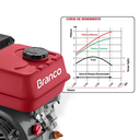 Ver imagem 5 de Ensiladeira À Gasolina Capim Cana Capiaçu Sorgo Milho 7HP Gte-2000CN Garthen com Motor Estacionário 