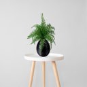 Ver mais imagens de Uma Samambaia Artificial Grande para Decoração Interna e Externa