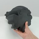 Ver imagem 6 de Vaso Decorativo Enfeite Planta Aparador 3D Cerâmica 35x20x20cm Preto