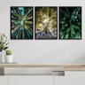 Kit 3 Quadros Decorativos Natureza- Árvores 45x34cm - com Vidro:madeira Preta - 2