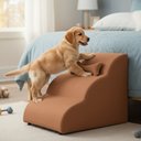 Ver imagem 2 de Escada Pet 46cm Estofada para Cachorro Nuvem R01 Veludo Terracota - Annie Decor
