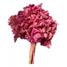 Buquê Hortênsia Rosa Claro Arranjo Desidratados Seco Rustico - 1