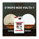Ver imagem 2 de Mata Mofo Vedax 5 L
