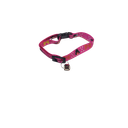 Ver imagem 2 de Kit de Coleiras em Seda P/ Gato - Colado - 10 Unidades