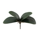 Ver imagem 1 de Folha de Orquídea Artificial X4 23cm