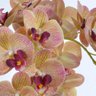 Arranjo de Orquídeas Artificiais Outonadas em Vaso Preto Fosco - 2