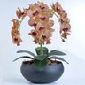 Arranjo de Orquídeas Artificiais Outonadas em Vaso Preto Fosco - 1