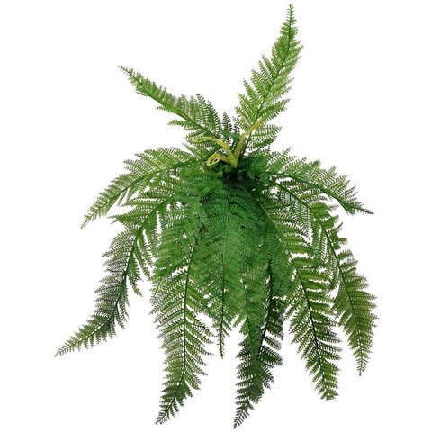 Samambaia Verde Planta Realista Artificial