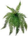 Ver imagem 1 de Samambaia Verde Planta Realista Artificial