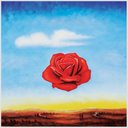 Ver imagem 2 de Quadro Rosa Meditativa Salvador Dali Tela Moldura Branca 40X40Cm
