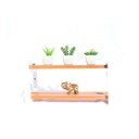 Ver imagem 2 de Estante Suspensa Decorativa Chamego 40cm:rose Gold