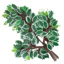 Ver imagem 1 de 12 Ramos Decoração Arranjo Ficus Artificial Planta Decorativa Plástico 14 Galhos Cada 55cm