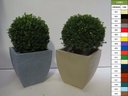 Ver imagem 1 de Kit 2 Vaso Planta 30x30 Moderno Trapézio Polietileno BGPLASTICOS ROSA 022