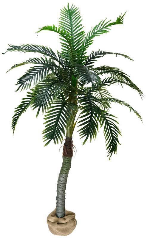 Arvore Planta Artificial Palmeira Coqueiro Real 186cm