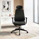 Ver imagem 1 de Cadeira Escritório Presidente Ergonômica NR17 Assento Regulável Signature Comfort Preto