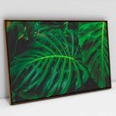 Ver imagem 1 de Quadro Decorativo em Canvas Folhagem TaColado Moldura Flutuante 4,5cm Freijó 120 x 80cm