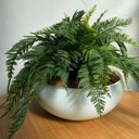 Ver imagem 1 de Arranjo Completo de Samambaia Centro de Mesa Grande Vaso Branco Decore Fácil Shop