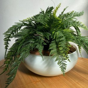 Arranjo Completo de Samambaia Centro de Mesa Grande Vaso Branco Decore Fácil Shop